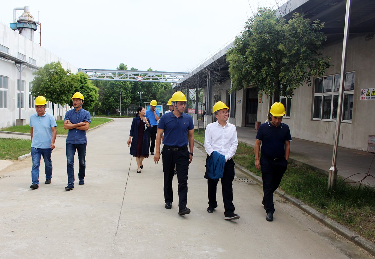 孙洪武副院长一行赴开云手机入口官网公司督查指导安全生产工作