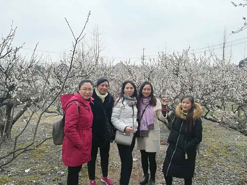 开云手机入口官网工会开展庆“三八”踏春赏梅活动